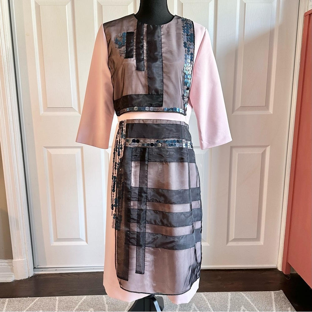 Fox’s Sara Navon Classic Fashion Collection Blush Pink & Black Dress w/ Sequins